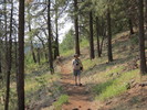 photo thumbnail #2