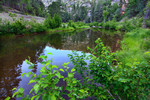 photo thumbnail #1