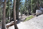 photo thumbnail #1