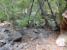 photo thumbnail #10