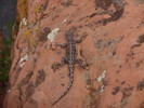photo thumbnail #13