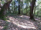 photo thumbnail #3