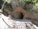 photo thumbnail #2