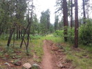 photo thumbnail #2