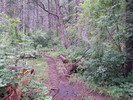photo thumbnail #4