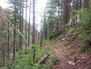 photo thumbnail #8