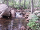 photo thumbnail #10