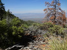 photo thumbnail #2