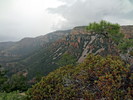 photo thumbnail #10