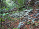 photo thumbnail #12
