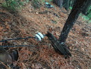 photo thumbnail #13