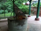 photo thumbnail #6