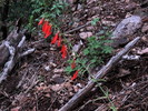 photo thumbnail #11