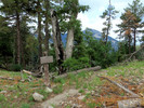 photo thumbnail #14