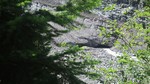 Featured Detail Photo