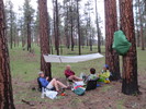 photo thumbnail #8