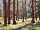 photo thumbnail #9