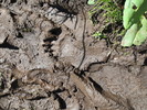 photo thumbnail #10