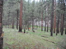 photo thumbnail #14
