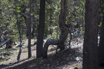 photo thumbnail #5