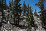 photo thumbnail #15