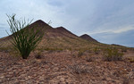 photo thumbnail #1