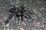 photo thumbnail #11