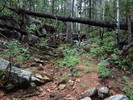 photo thumbnail #1