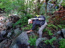 photo thumbnail #9