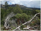 photo thumbnail #12