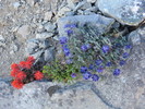 photo thumbnail #6