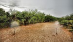 photo thumbnail #3