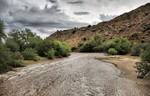 photo thumbnail #5