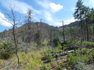 photo thumbnail #3