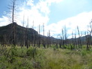 photo thumbnail #4