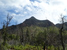 photo thumbnail #6