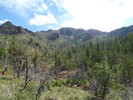 photo thumbnail #7