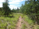 photo thumbnail #11