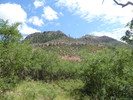 photo thumbnail #13