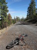 photo thumbnail #6