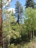 photo thumbnail #11