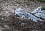 photo thumbnail #9