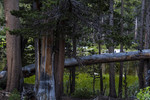 photo thumbnail #10