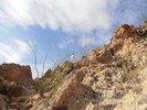 photo thumbnail #3
