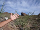 photo thumbnail #2