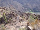 photo thumbnail #6