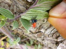 photo thumbnail #12