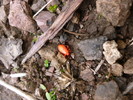 photo thumbnail #14