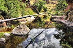 photo thumbnail #12