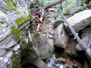 photo thumbnail #1